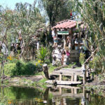 A dense collection of dolls hanging from trees on Doll Island, creating a surreal and unsettling scene.