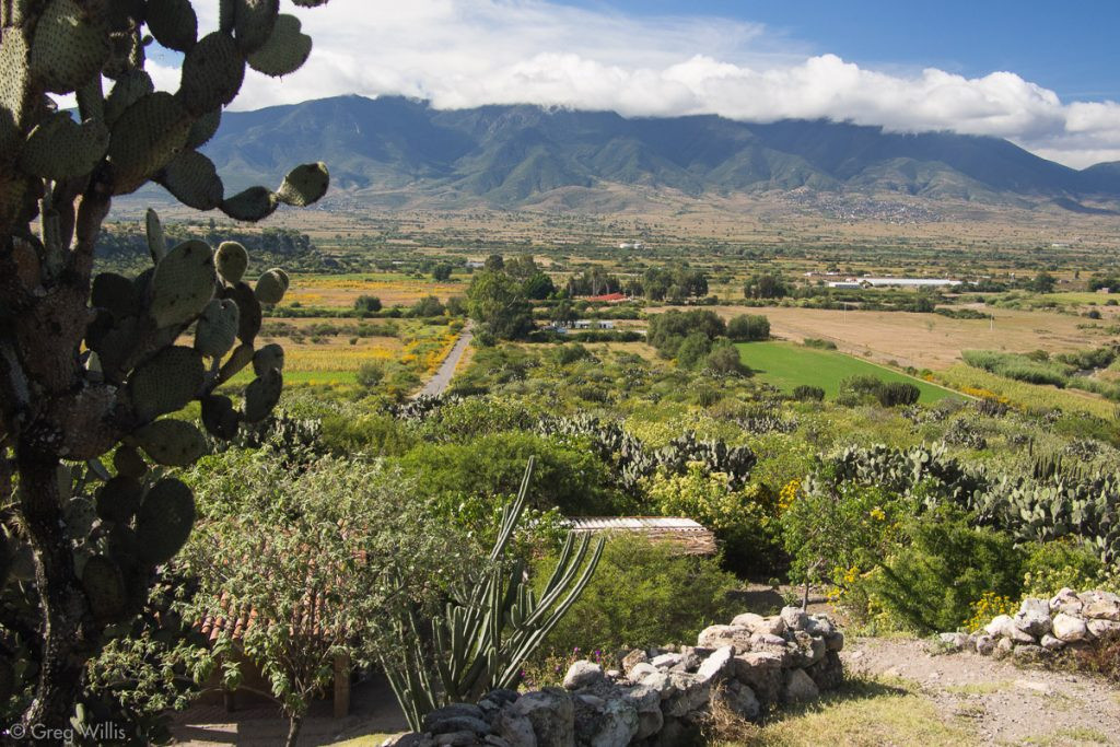 Southward view across the Tlacolula Valley from Yagul ruins