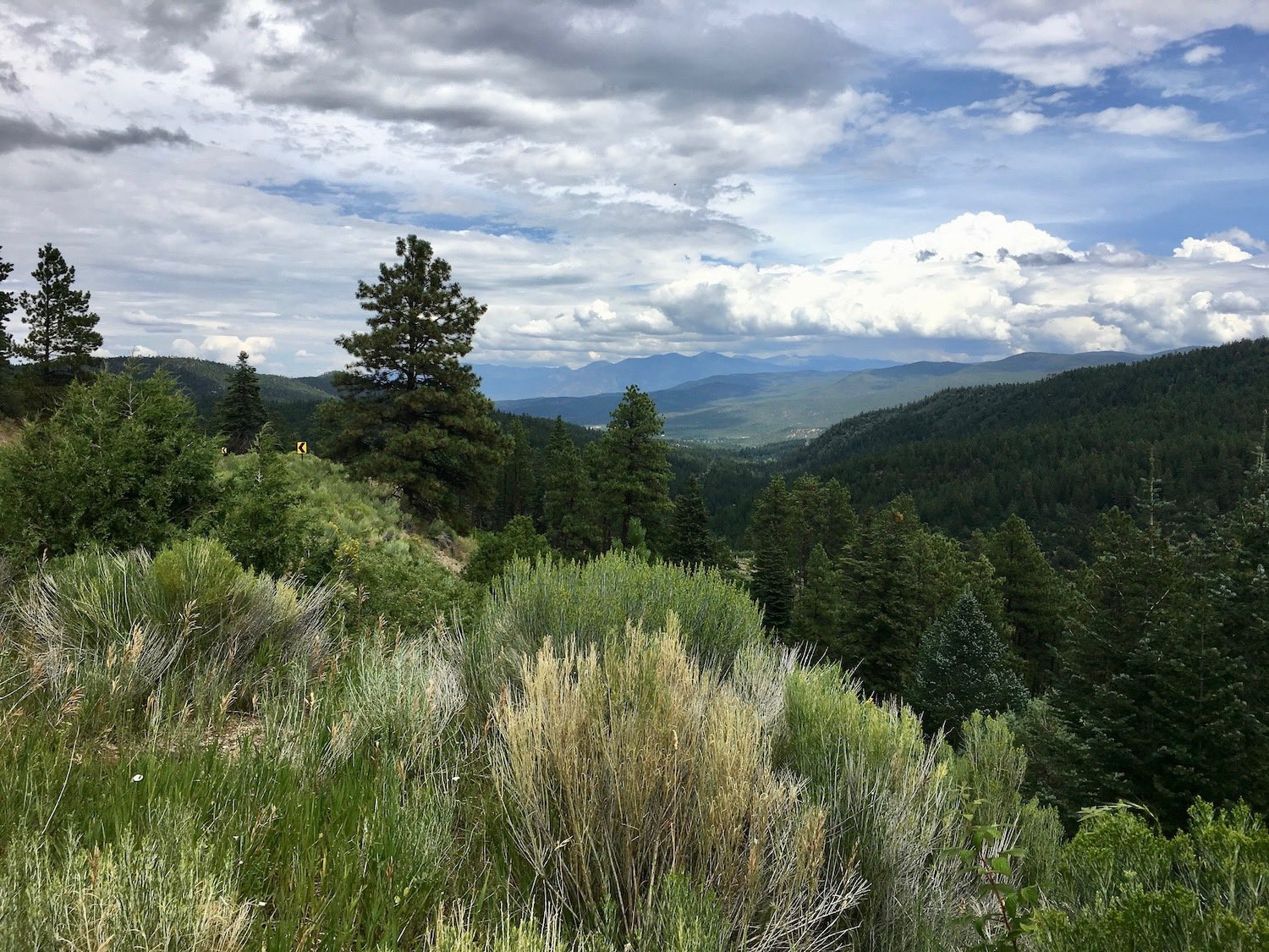 Driving through the Sangre de Christo Mountains on the high road between Taos and Santa Fe