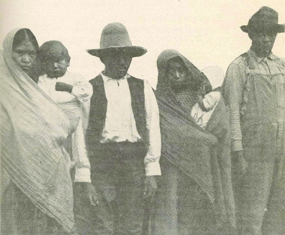 Mexican immigrants were depicted as “[t]he type of people who are bringing typhus and other diseases into California from Mexico” in a 1916 health bulletin, reinforcing negative stereotypes.