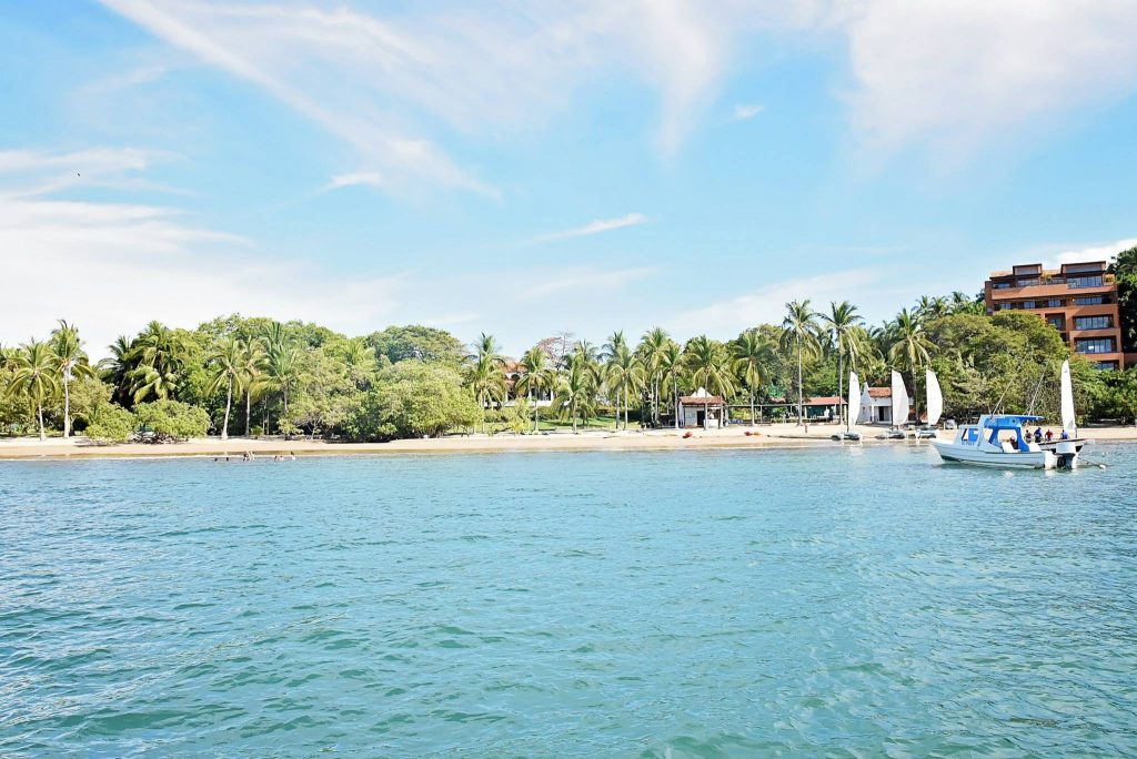 Turtle Release in Ixtapa Zihuatanejo