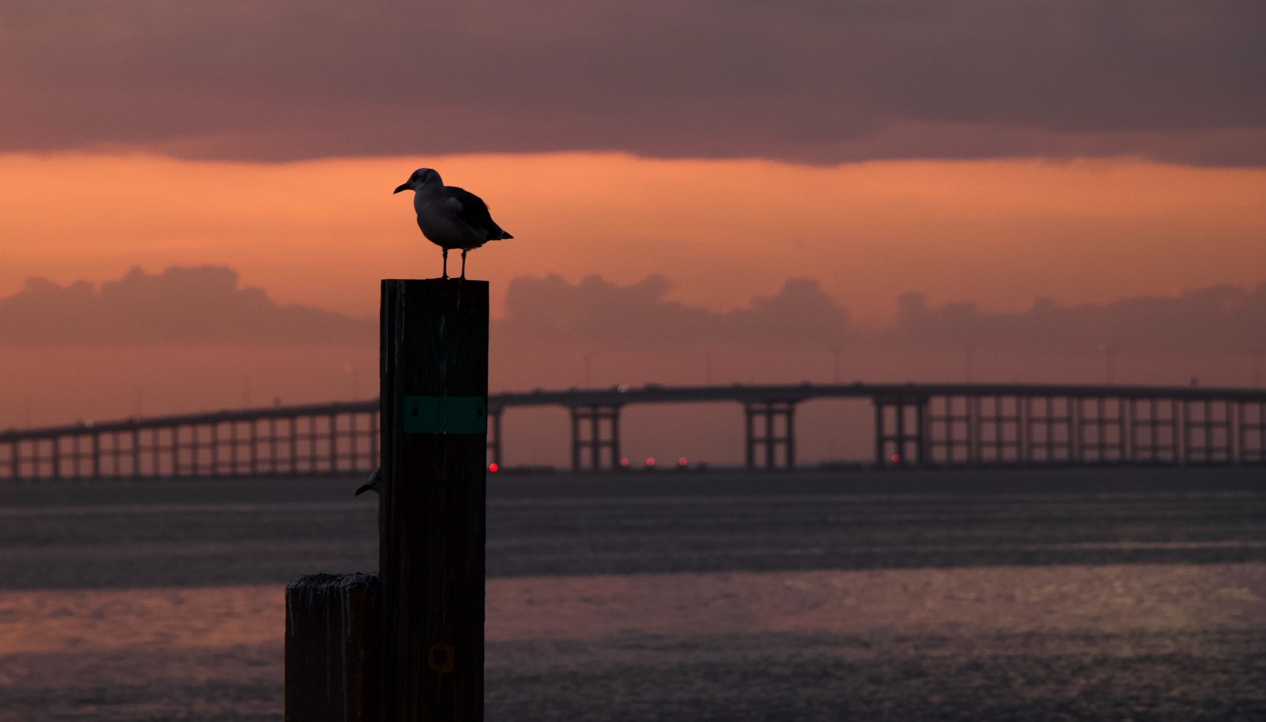 Sunset at the Queen Isabella Causeway