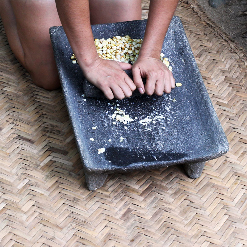 Ancient civilizations revered corn