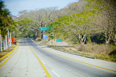 Bucerias Road Jungly Hills