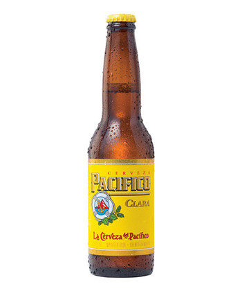 Pacifico beer bottle