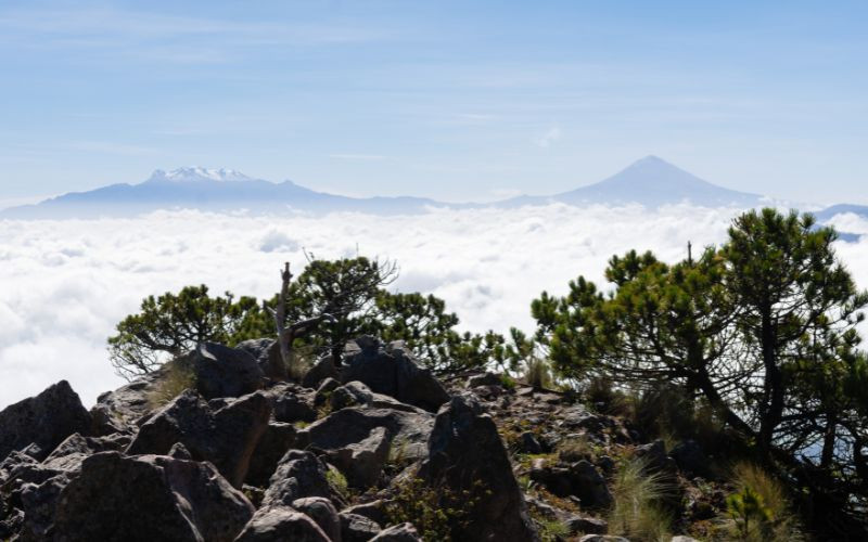 View from the peak of Cerro del Ajusco, Mexico
