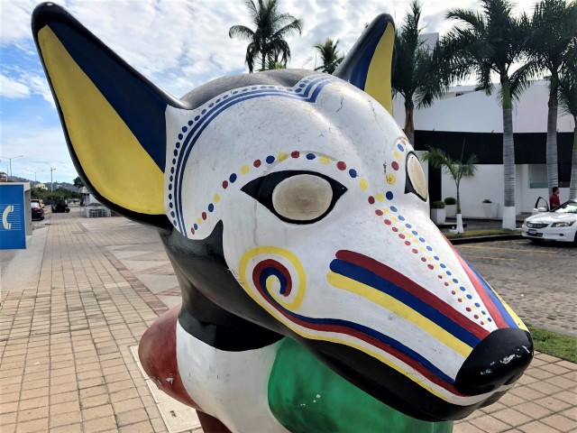Colima dog Manzanillo