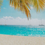Dominican Republic Beach Macao with palm trees and blue sky