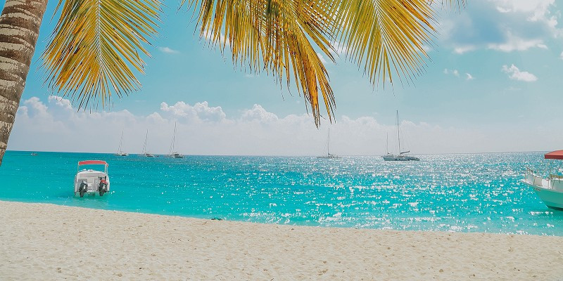 Dominican Republic Beach Macao with palm trees and blue sky
