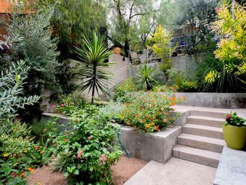 San Miguel de Allende's real estate boasts colonial architecture and vibrant cultural life, drawing in those who appreciate historical charm combined with modern amenities and a strong expat community