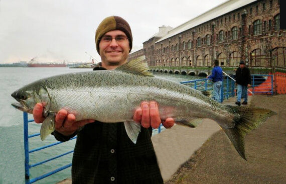 Coho Salmon, Oncorhynchus kisutch