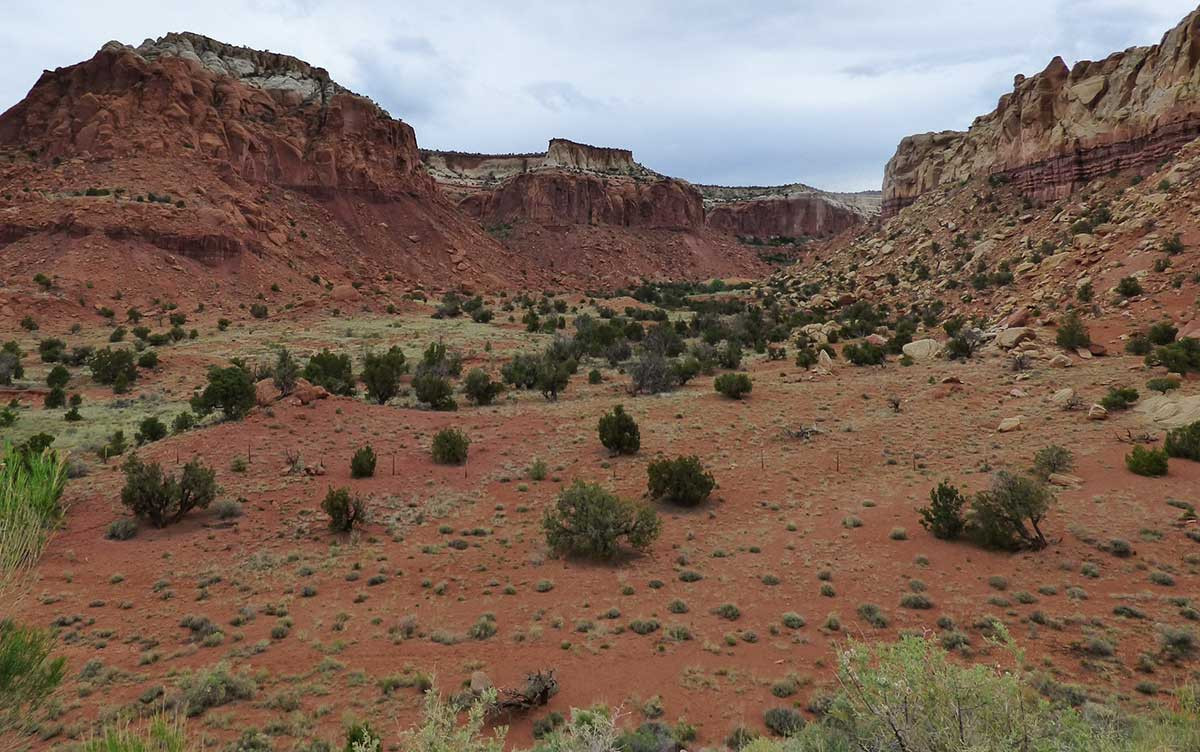 Red cliffs around Ghost Ranch