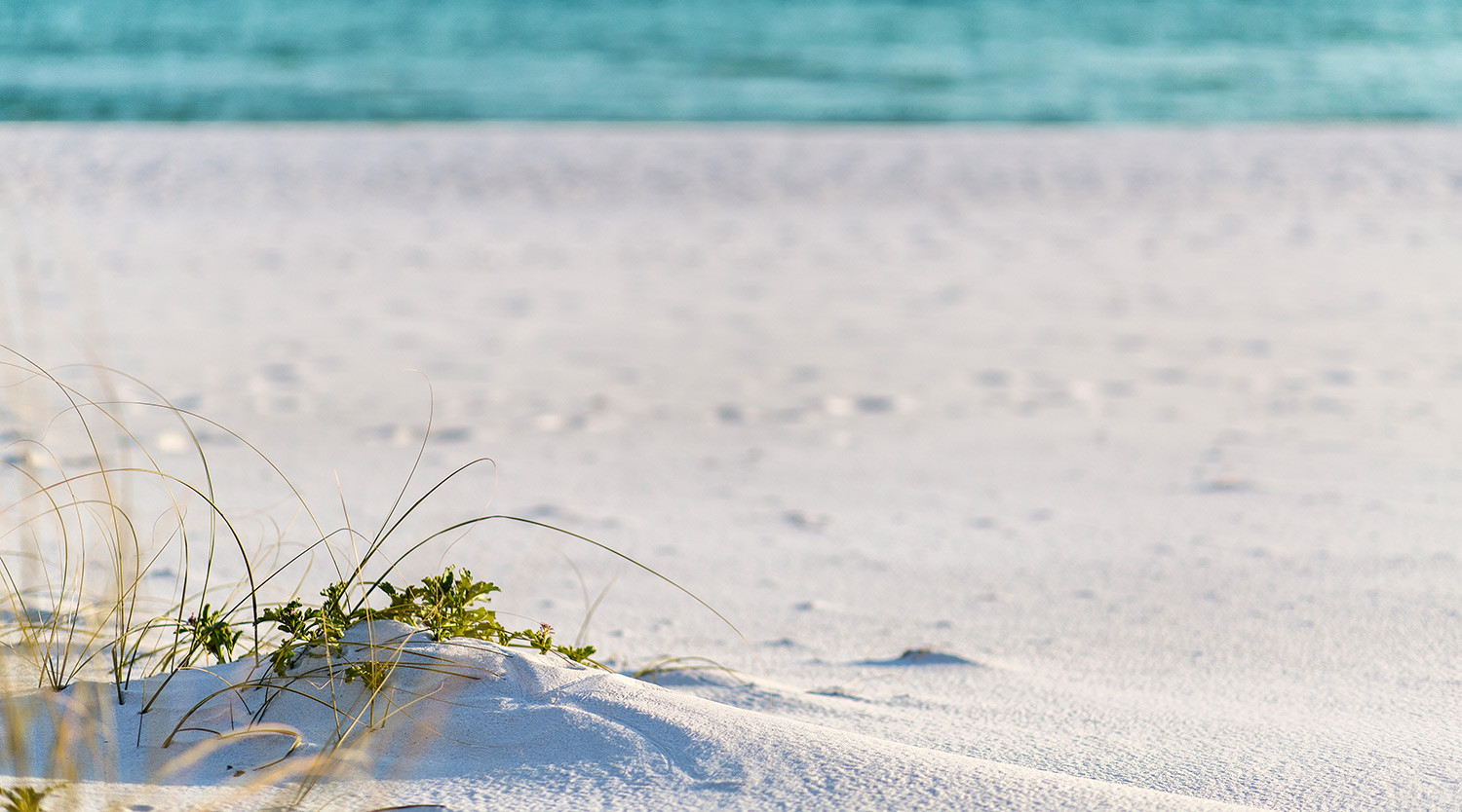 Gulf Coast Sand