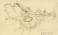 Mexican Border Survey