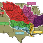 Fertilizers from the Mississippi River Basin contribute to the dead zone in the Gulf of Mexico