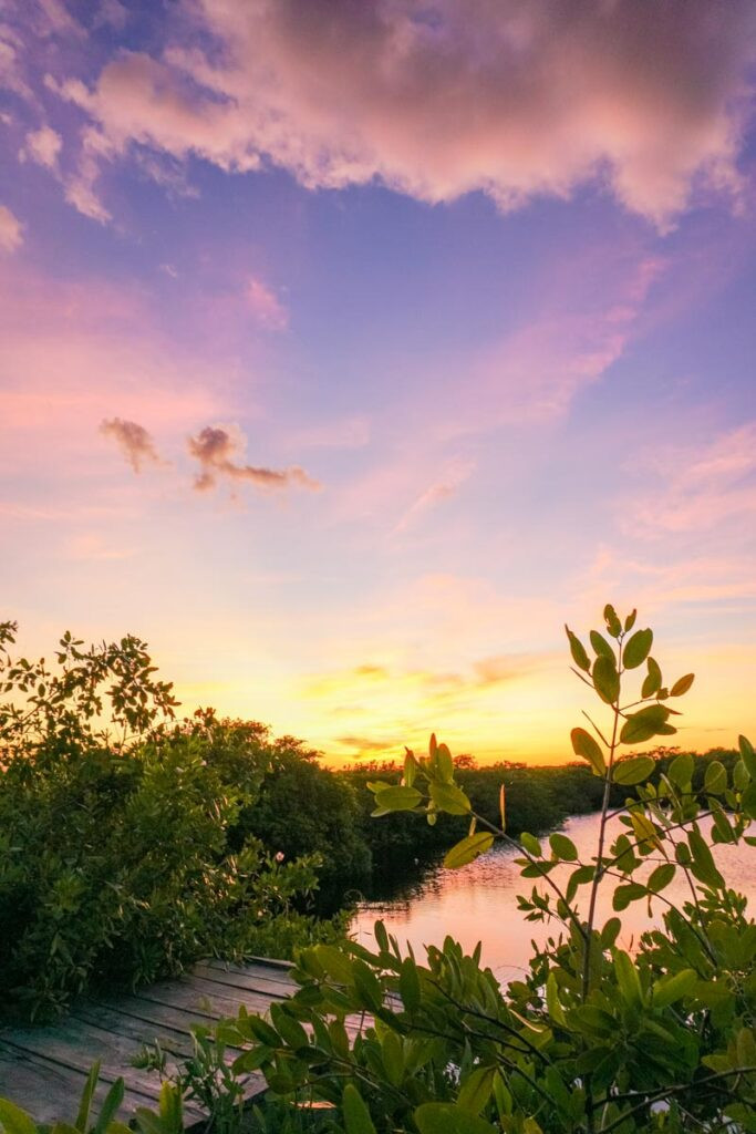 Nativus Tulum showcasing eco-friendly accommodations