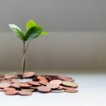 Currency Exchange Rates in Mexico