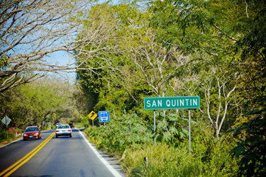 Roadside Scene Highway 200