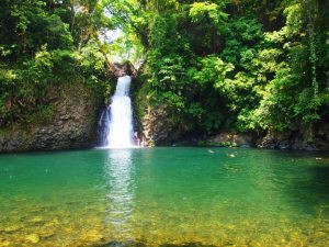 Small boat through the Enchanted Lagoon with trees twisted over the body of water