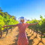 Enjoy personalized winery tours and connect with local winemakers. - Ensenada, Mexico