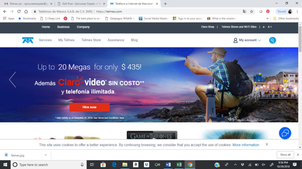Telmex Website