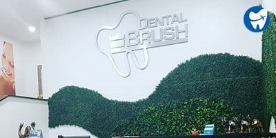 Dental Brush