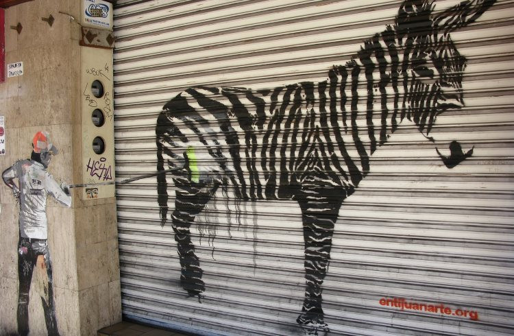 Street art in Tijuana, Mexico showing a zonkey - a donkey painted like a zebra. The creative artwork is prominently displayed on a building, capturing the unique and playful essence of the city's culture.