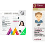 Mexican driver’s licenses