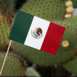 Mexican Athletes at the 2024 Olympics