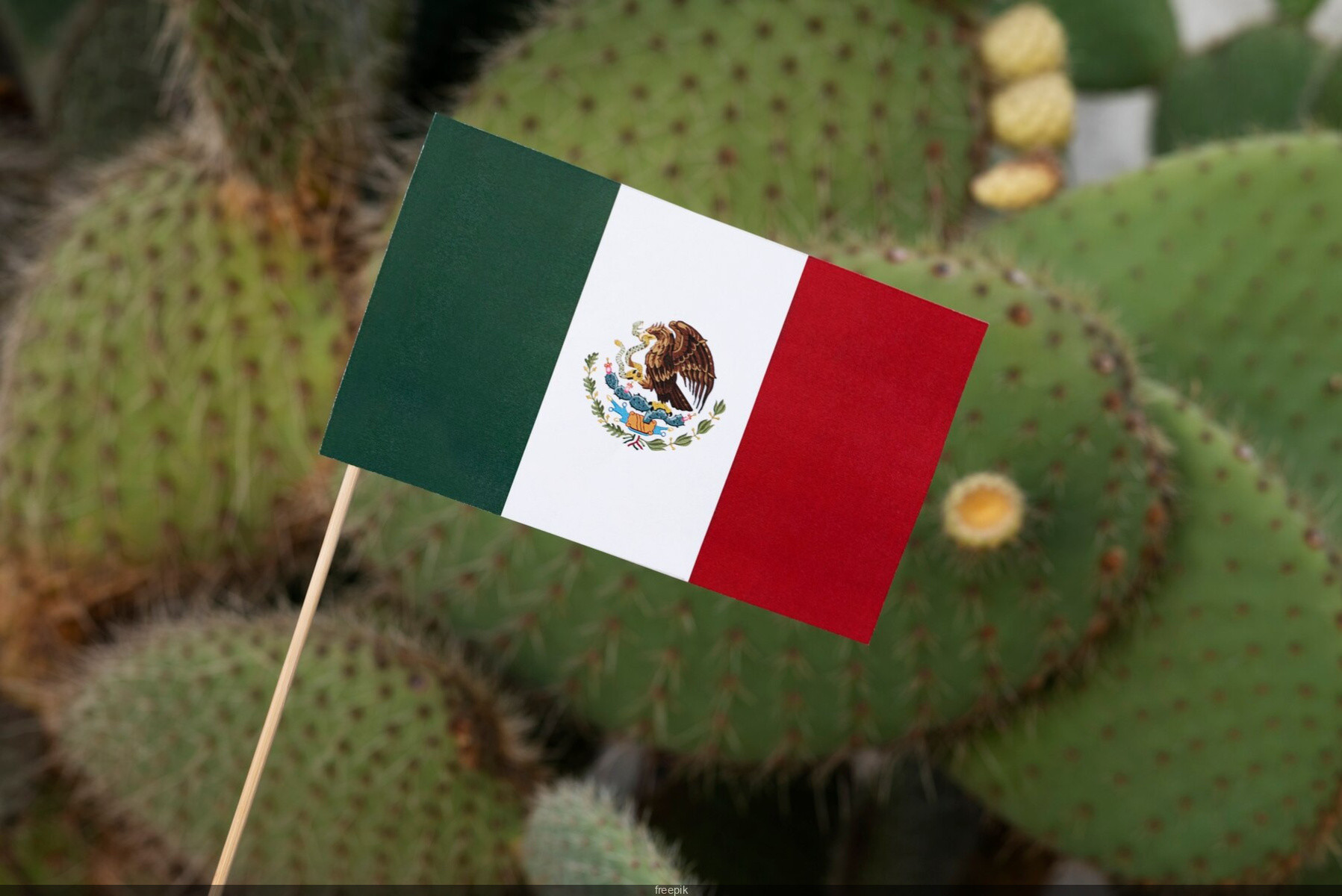 Mexican Athletes at the 2024 Olympics