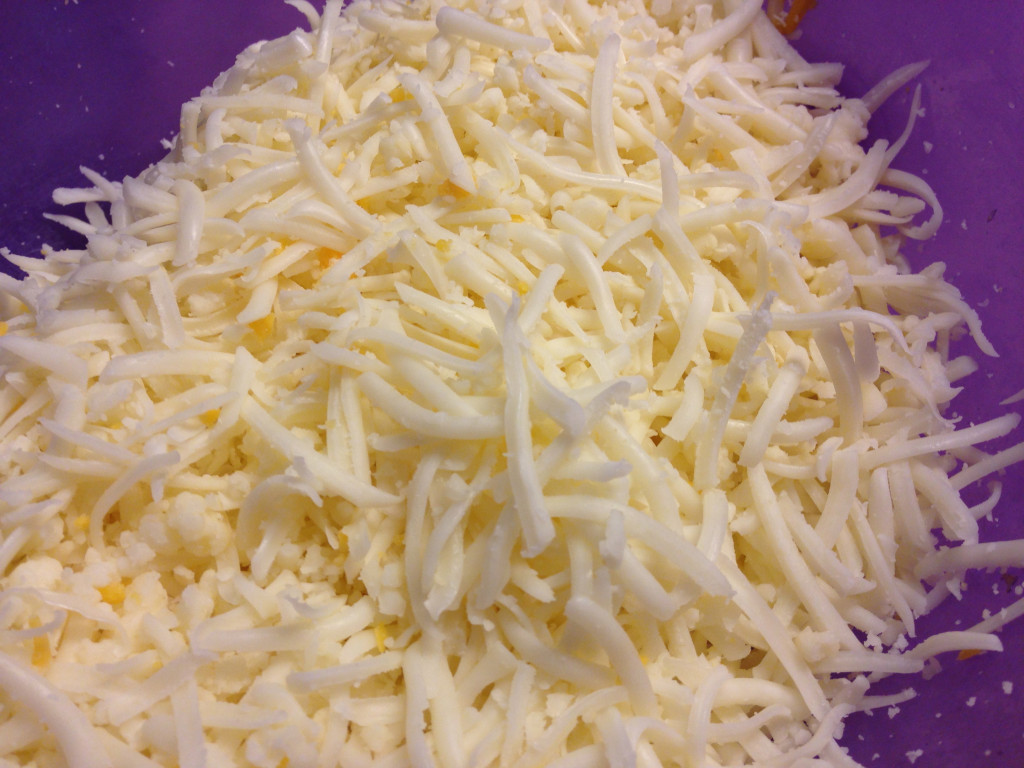 Variety of Cheese for Pizza
