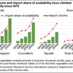 A clustered bar chart showing import volumes of bell peppers, cucumbers, squash, and snap beans, comparing the 1970s to 2020s, with steep increases in imports and their total share of availability in all four crops.