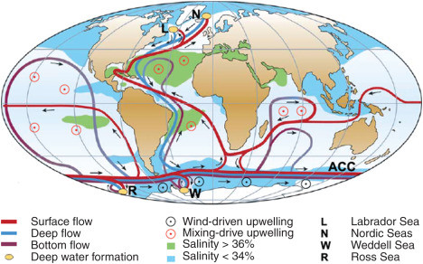 Schematic of the global overturning circulation system