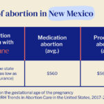 Chart showing the cost of abortion in New Mexico, comparing the first trimester (with sub-columns for medication abortion with Hey Jane, medication abortion state average, and procedural abortion state average) and the second trimester (procedural abortion state average).