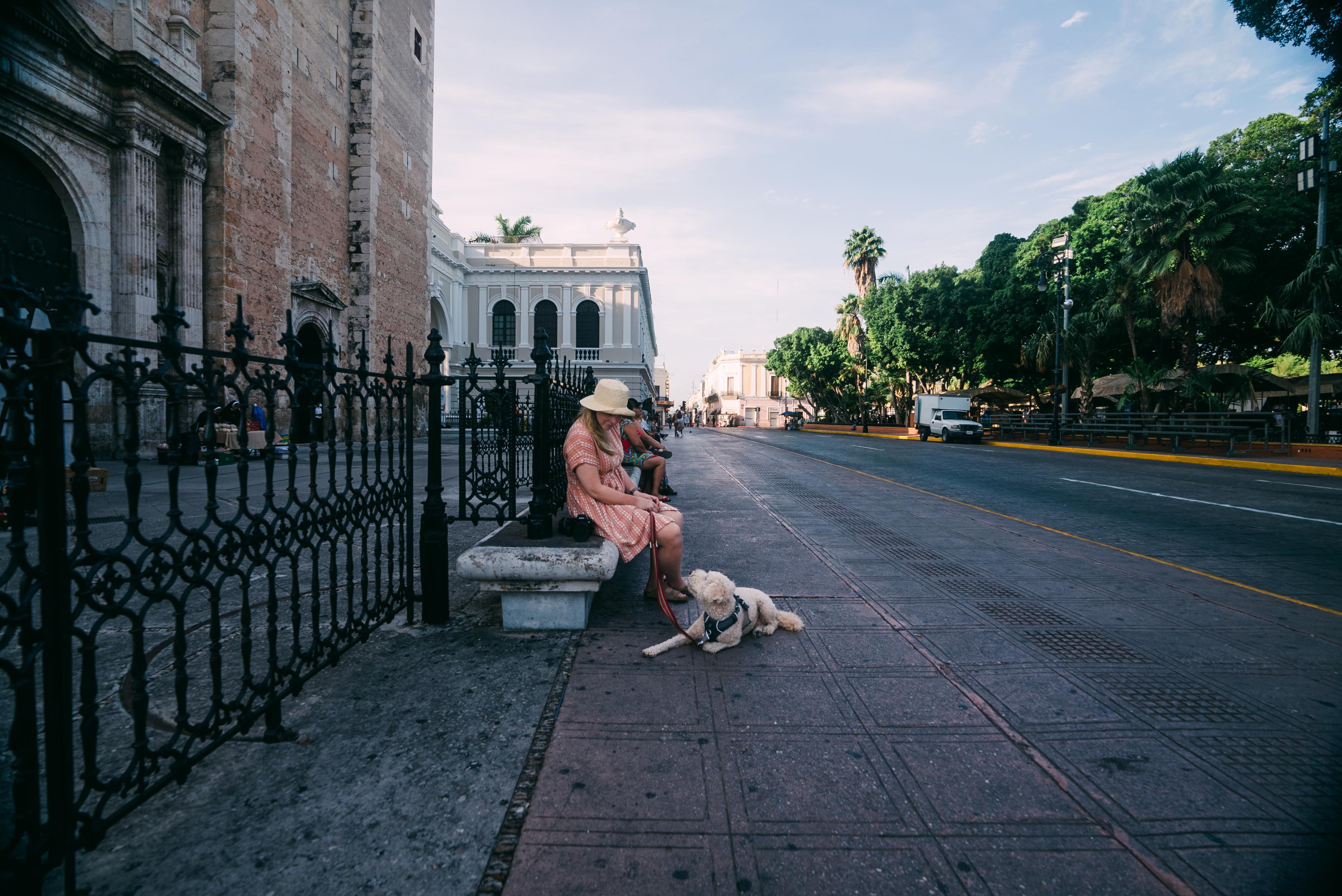 Girl and dog sit outside of cathedral along Plaza Grande, Mérida, Mexico