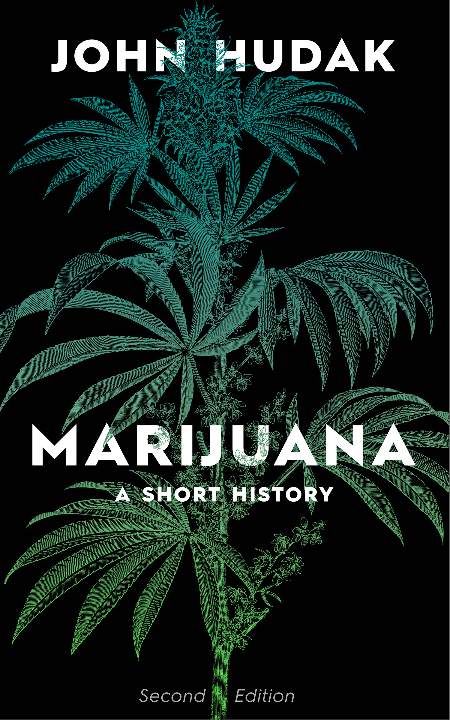 Cannabis Plant