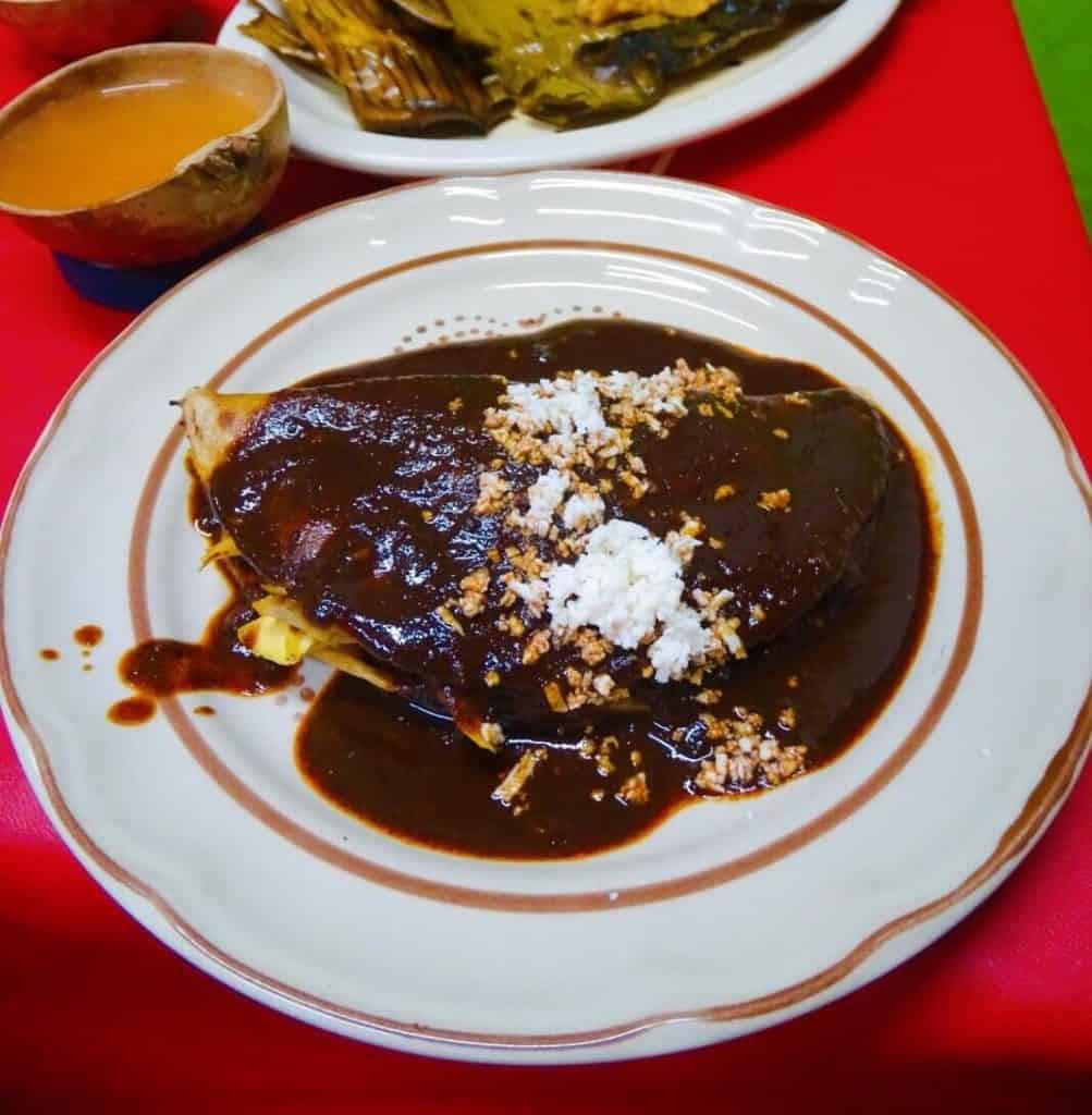A bowl of mole poblano, showcasing the rich color and complex ingredients.