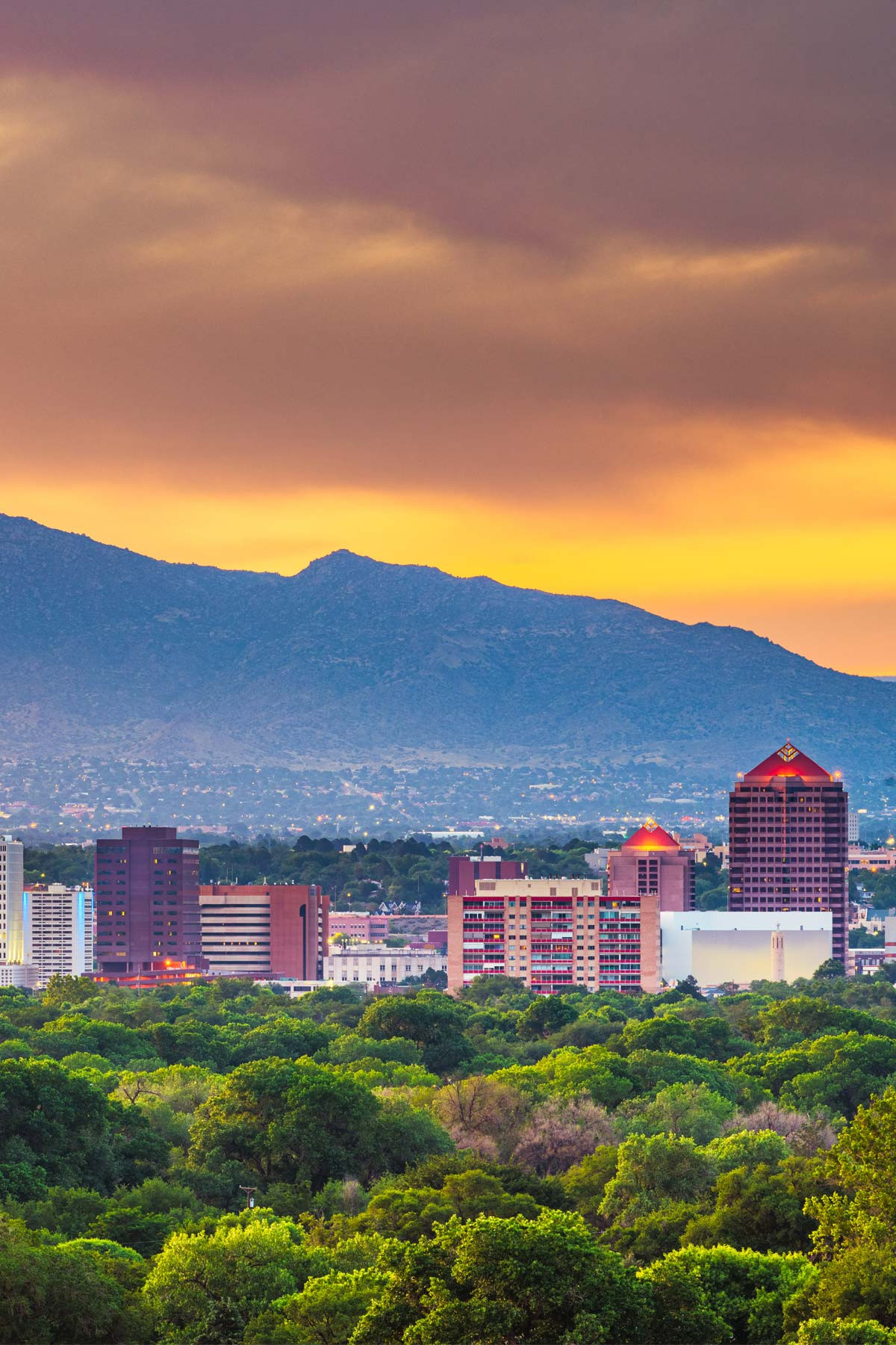 Albuquerque Living in New Mexico