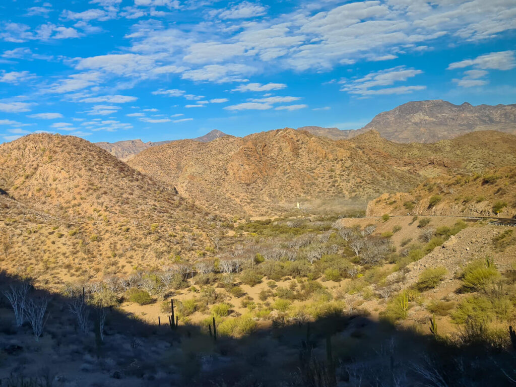 Small cacti decorate the brown hills of Baja, taken while hiking - one of the best things to do in La Paz.