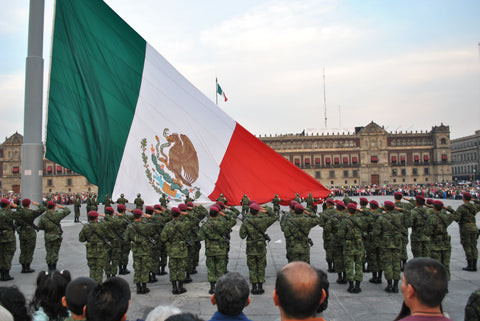 Bandera Defile
