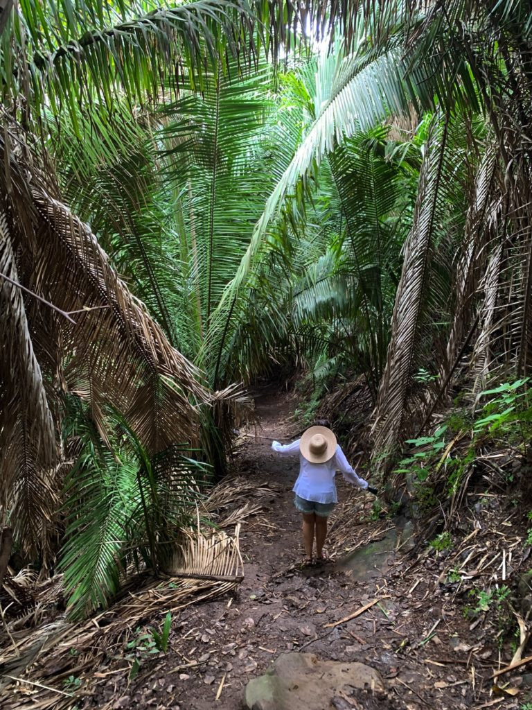 Some of our favorite local hikes!
