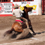 A Mexican horse rider takes part in Charreria, one of the most popular sports in Mexico