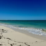 A long beach with gentle waves, a little seaweed, and devoid of people in Playa Mujeres near Cancun.