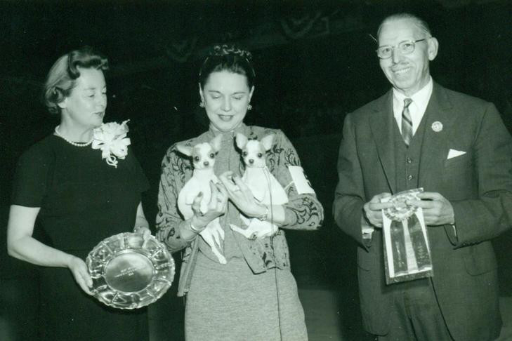 Chihuahua historical image