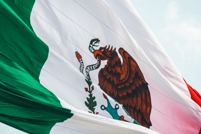 Citizenship of Mexico Application Process