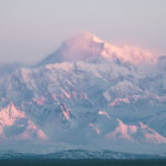 Denali National Park