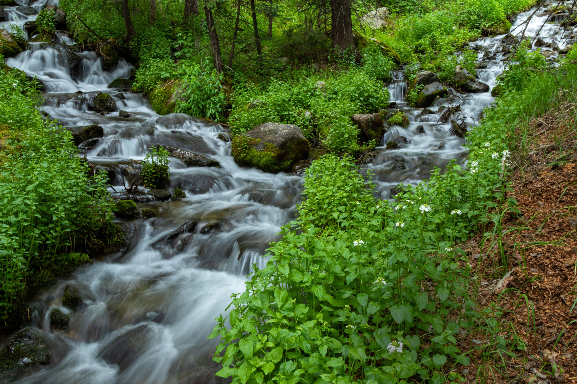 Destinations: Alpine Lakes, New Mexico Magazine