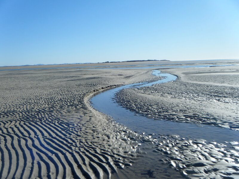 Rocky Point Tidal Flats