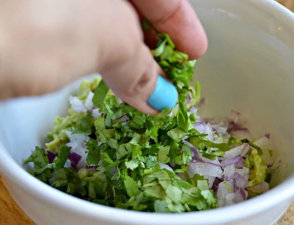 Fresh veggies and herbs for guacamole