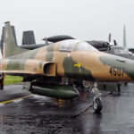 Mexican Air Force F-5 Tiger II